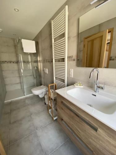 Le PlanにあるL’auberge de Montsalierのバスルーム(洗面台、トイレ、鏡付)