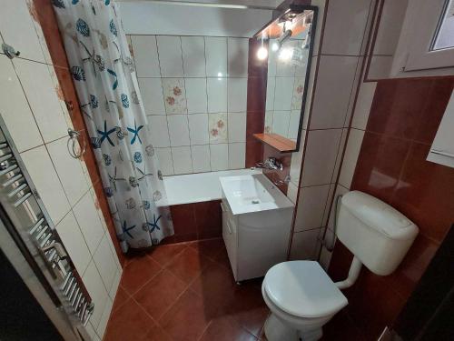 La petite salle de bains est pourvue de toilettes et d'un lavabo. dans l'établissement Eugenia Apartament, à Ploieşti