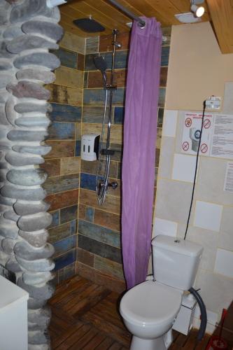 y baño con aseo y ducha de roca. en Studio Canario, en El Escobonal
