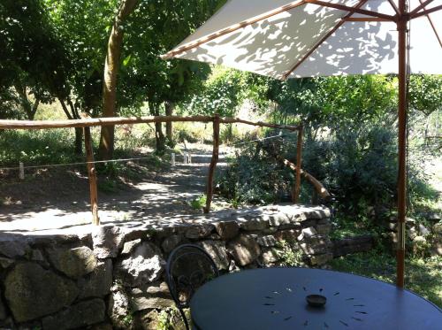 einen Tisch mit einem Regenschirm neben einer Steinmauer in der Unterkunft Gli Ulivi Agriturismo in Sant'Agnello