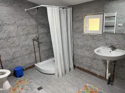 a bathroom with a shower and a toilet and a sink at Casa Danut in Vidra
