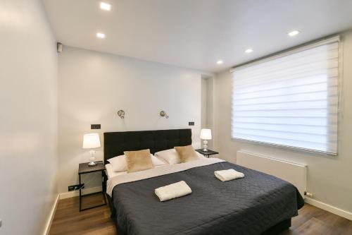 1 dormitorio con 1 cama grande y 2 almohadas en Luxury Apartment in Centre, en Praga