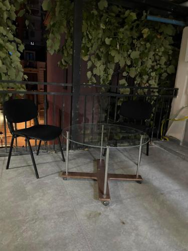 a glass table and two chairs in front of a plant at Flats at Era Square in Batumi