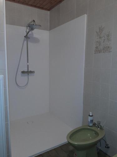 y baño con aseo verde y ducha. en Gästehaus M, en Poysdorf