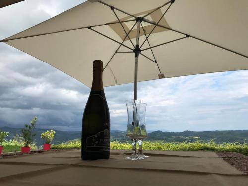 a bottle of wine and a glass under an umbrella at Morning coffee w a view :) in Podčetrtek