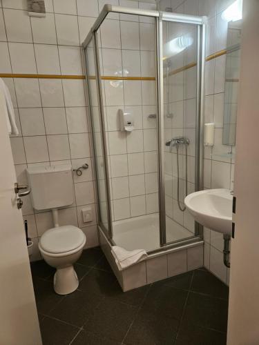a bathroom with a toilet and a shower and a sink at Terra Ventura Hotel in Gondorf