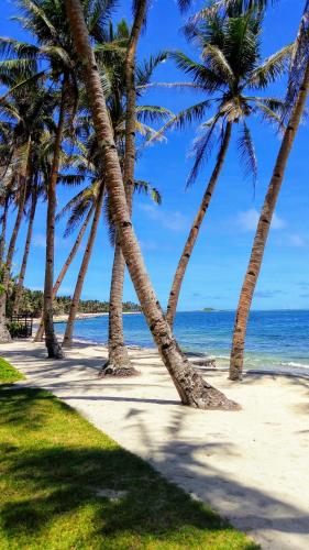 a row of palm trees on a beach with the ocean at Entire Private Beachfront Villa in Siargao in General Luna