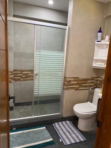 a bathroom with a shower and a toilet at Entire Private Beachfront Villa in Siargao in General Luna