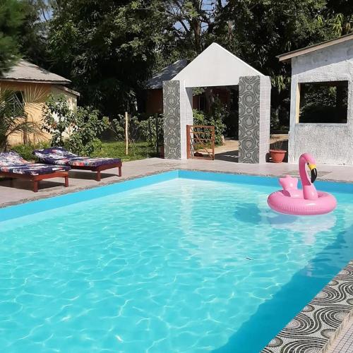 a swimming pool with a pink swan in the water at Franco Inn Guesthouse in Tanji