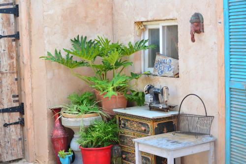 ein Waschbecken und Topfpflanzen neben einem Gebäude in der Unterkunft Quiet place 3 km from the beach of Cesarea in Or ‘Aqīvāh