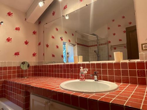 une salle de bain avec un lavabo et un miroir dans l'établissement VILLA CAU B&B - Les Anglores, à Claviers