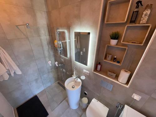 W łazience znajduje się prysznic, toaleta i umywalka. w obiekcie Appena Guest House 2 w Krakowie
