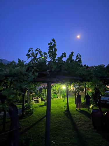 Agriturismo Mare e Monti – Photos 3