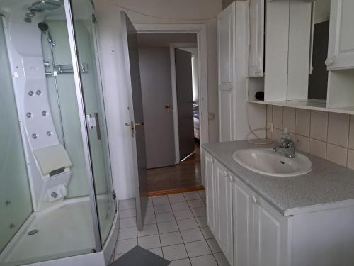 uma casa de banho com um chuveiro e um lavatório. em Budanes 1 em Stykkishólmur