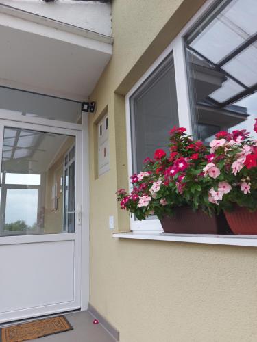 una puerta con dos macetas de flores en una ventana en Apartman Kovač-Bilje en Bilje