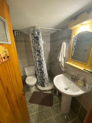 ein kleines Bad mit WC und Waschbecken in der Unterkunft Pleistos Valley 1 in Arachova