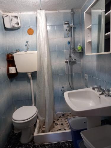 AlleinにあるBreckenbreck, cir 0006 vda Alleinのバスルーム(トイレ、洗面台、シャワー付)
