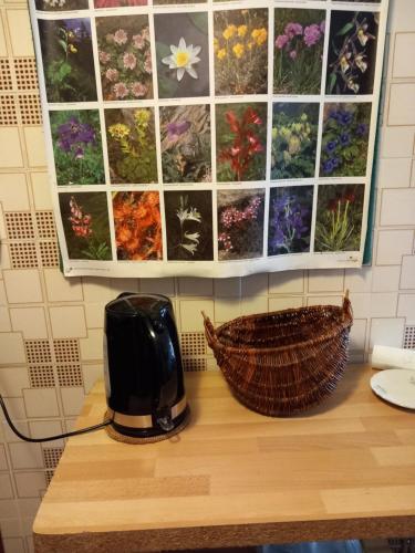 a toaster sitting on a table with pictures of flowers at Breckenbreck monolocale CIN IT7001C2P4NVWOPA in Allein