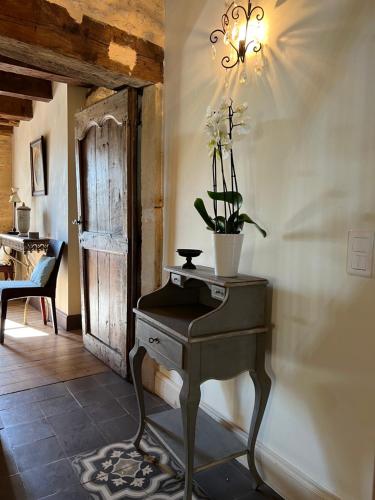 une table avec une plante en pot dans une pièce dans l'établissement Les Maisons d'Antan 5 étoiles, à Saint-Geniès