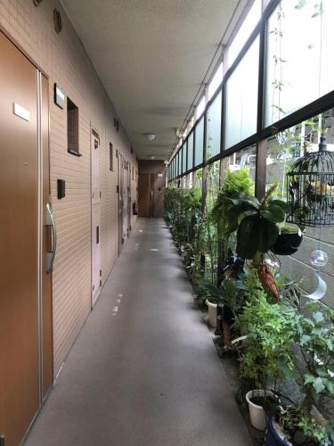 um corredor de um edifício de escritórios com plantas em 新宿の家-畳み3人部屋 em Tóquio