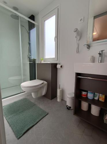 un bagno con wc, lavandino e doccia di Mobile Home Drage a Drage