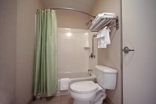 a bathroom with a toilet and a green shower curtain at SpringHill Suites by Marriott Baltimore Downtown/Inner Harbor in Baltimore