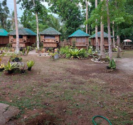 a group of huts with green roofs in a forest at Elvira's Homestay in Looc