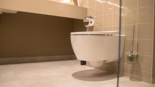 a bathroom with a toilet and a shower at Schaluinenhoeve in Baarle-Nassau