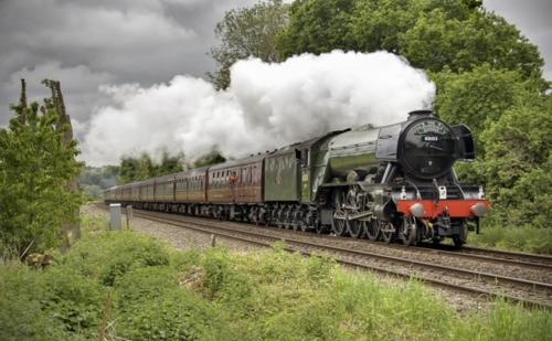 a steam train is traveling down the tracks at The Roost in Aviemore