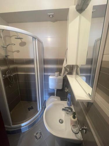 a bathroom with a sink and a shower and a toilet at Vila Nikola in Bratesici