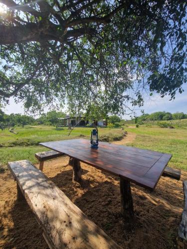 a wooden picnic table sitting under a tree at Alay Lake - Yala in Kirinda