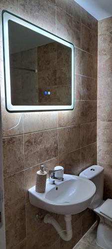 een badkamer met een wastafel, een spiegel en een toilet bij Mirijevska zvezda in Belgrado