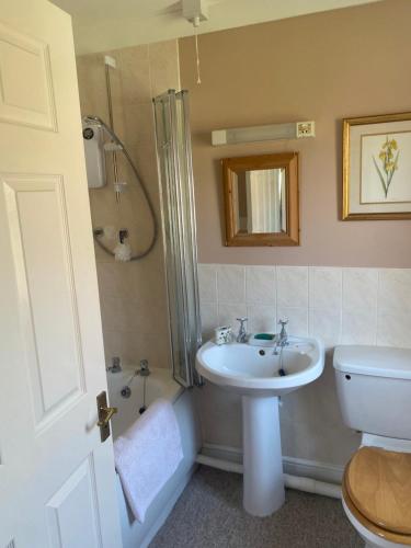 a bathroom with a sink and a shower and a toilet at Goodwood Rooms in Charlton