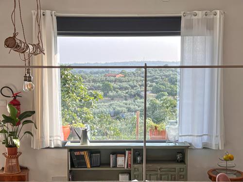 ein großes Fenster in einem Zimmer mit Bücherregal in der Unterkunft Apartamento Atalantar in Villanueva de la Vera