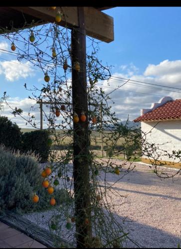 La Candelaria - Casas de Campo - – Photos 3