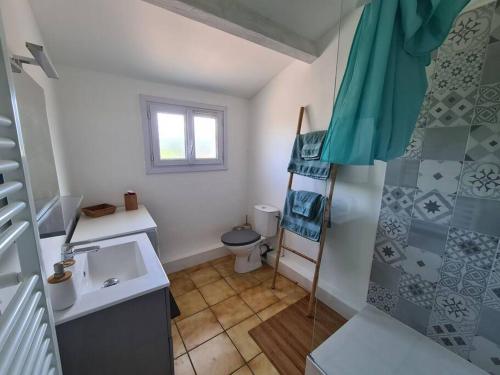 ein Bad mit einem Waschbecken, einem WC und einer Dusche in der Unterkunft Charmant appartement à Cornillon-confoux & balcon in Cornillon-Confoux