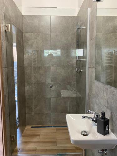 a bathroom with a shower and a sink and a shower at Černá růže - Apartmán 7 in Pilsen