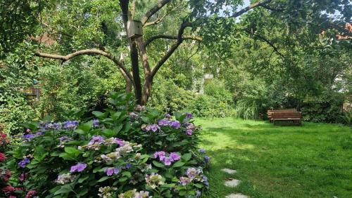um jardim com um banco e flores e uma árvore em Pension Siewert em Dessau