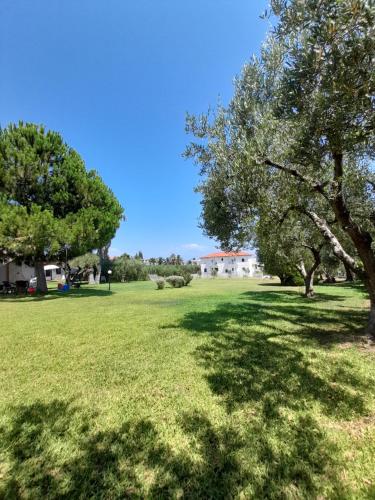 a green field with trees and a house in the background at Villa Aroma in Polykhrono