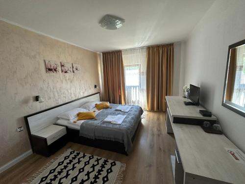 a bedroom with a bed and a desk in it at Pensiunea Grande Lepsa in Lepşa