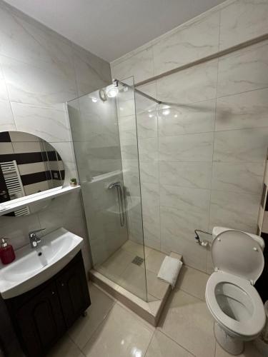 a bathroom with a shower and a toilet and a sink at Pensiunea Grande Lepsa in Lepşa