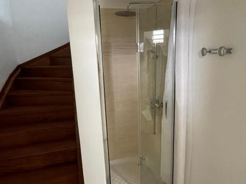 een glazen douche in een badkamer met een trap bij Duplex centre-ville in Le Moule