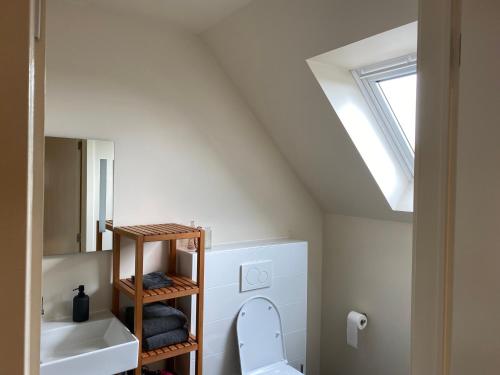 uma casa de banho com um WC, um lavatório e uma clarabóia em B&B 't Mjeels Pierke em Meerle