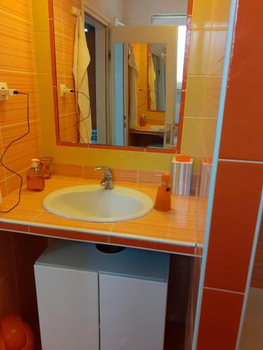a bathroom with a sink and a mirror at Apartman Zdenka Marija in Varaždin
