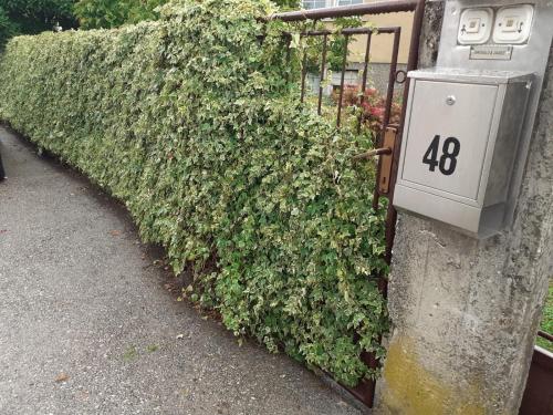 a ivy covered fence with a number on it at Apartman Zdenka Marija in Varaždin