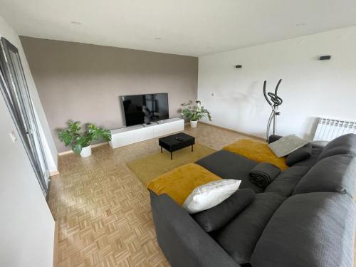 a living room with a gray couch and a flat screen tv at Garden Villa in Štanjel