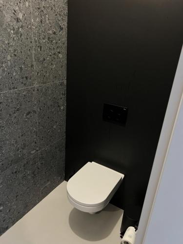 a bathroom with a white toilet in a black wall at Lake House Borowe in Borowe