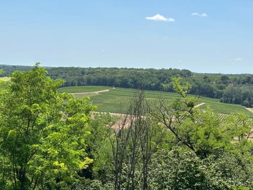 Afbeelding uit fotogalerij van Gouillette in Saint-Pey-de-Castets