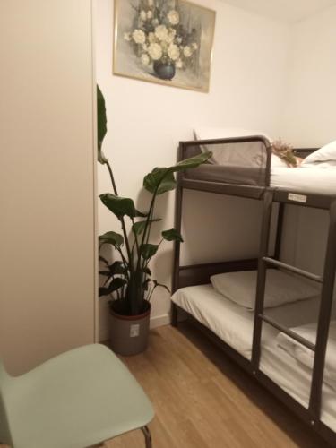 a room with two bunk beds and a potted plant at Sylhet BNB in Lisbon