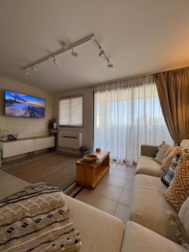 un salon avec un canapé et une télévision dans l'établissement Cannes Villa Francia, à Cannes